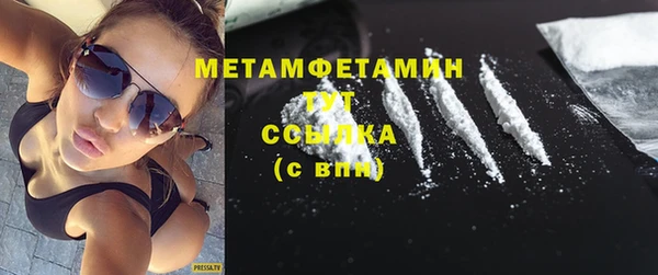 прущая мука Вяземский