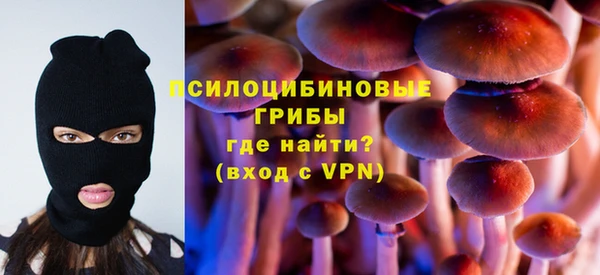 прущая мука Вяземский