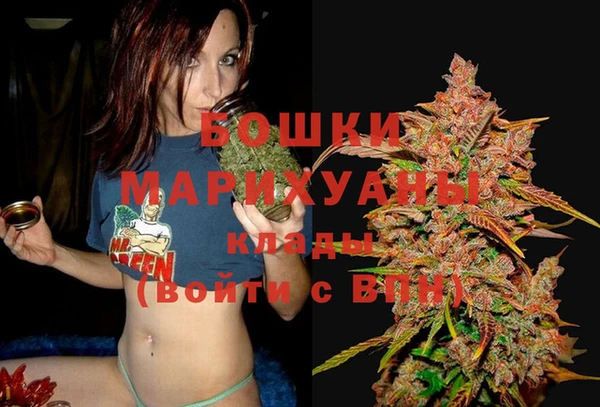 прущая мука Вяземский