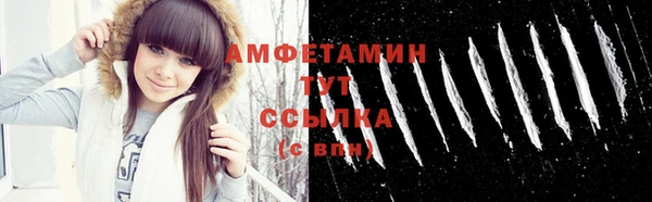 прущая мука Вяземский