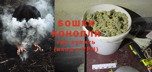 прущая мука Вяземский
