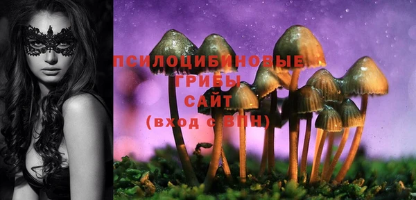 прущая мука Вяземский