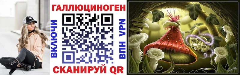 Купить  Нальчик  Галлюциногенные грибы GOLDEN TEACHER 